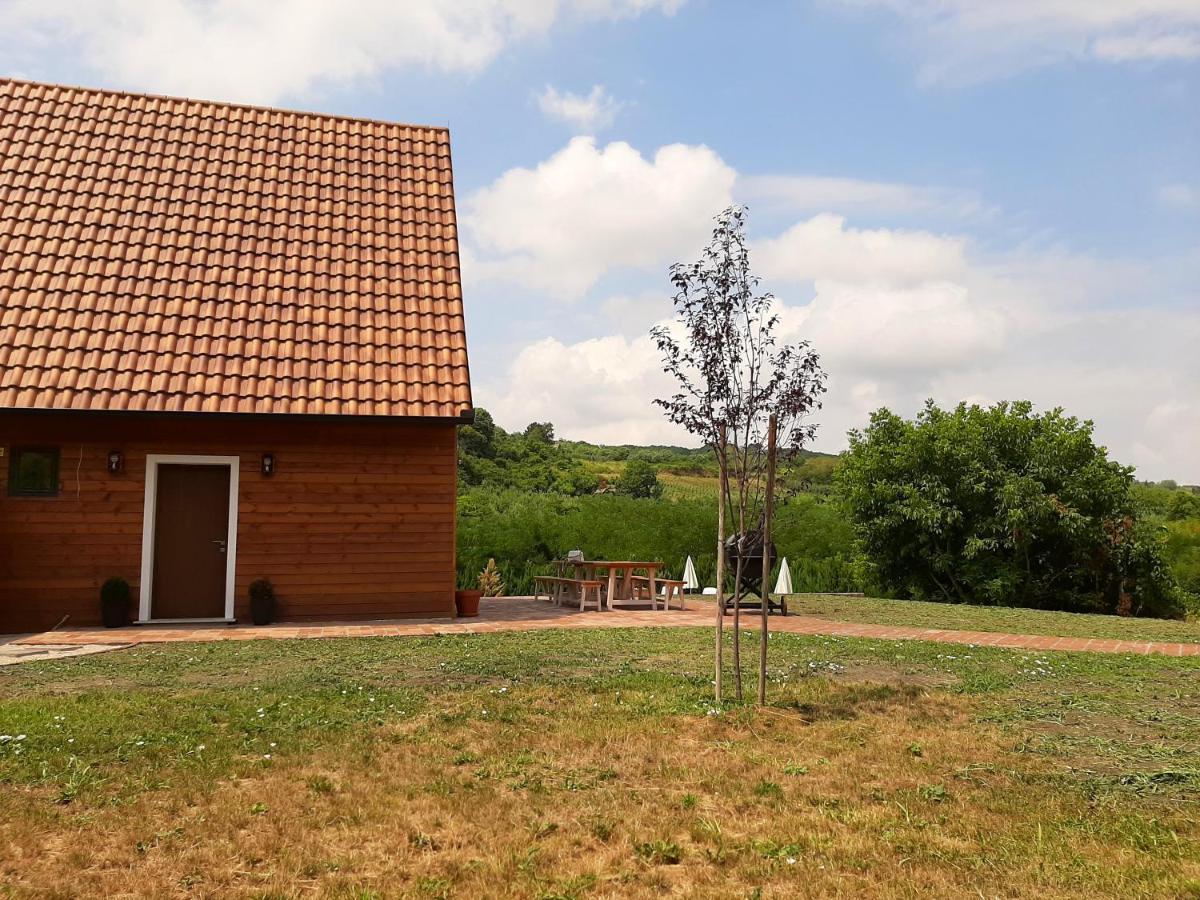 Fruska Villa Sremski Karlovci Exterior foto