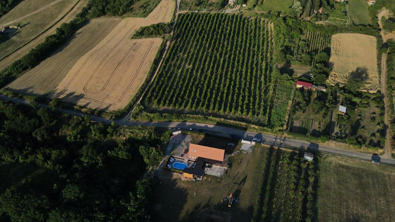 Fruska Villa Sremski Karlovci Exterior foto